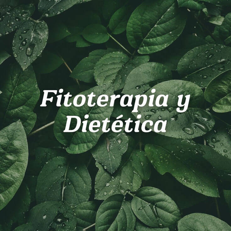 Fitoterapia y Dietética